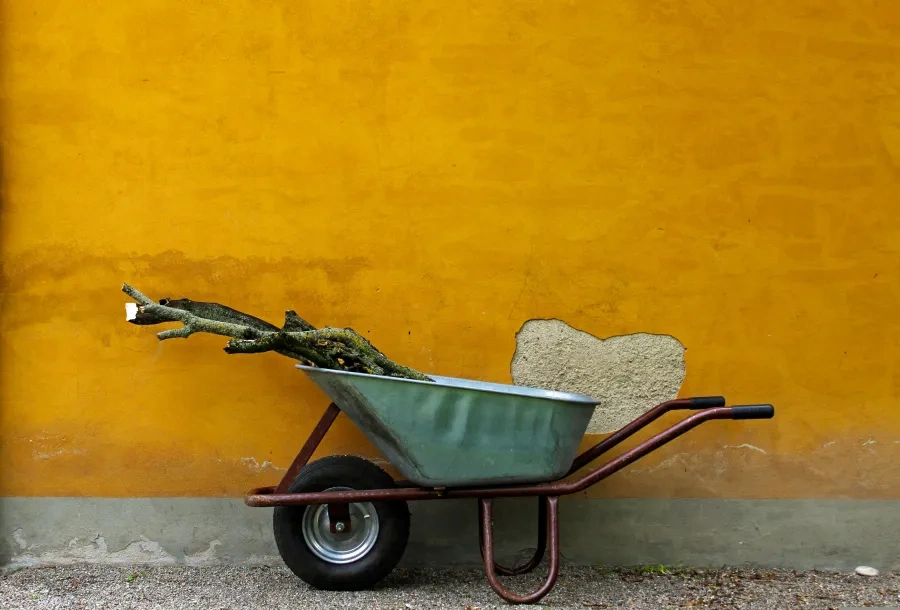 A galvanised wheelbarrow holding a pruned branch, parked against an ochre plastered wall.