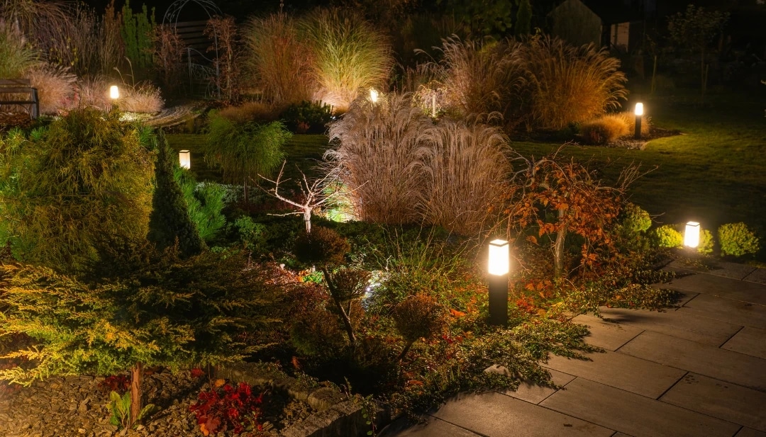 An ornamental garden after dark, its shrubs and small trees uplit from below and a lit path running between the planted beds.
