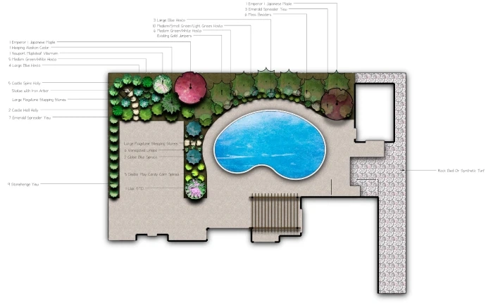 A colour planting plan around a kidney-shaped pool: hollies, hydrangea and spruce called out along the fence, flagstone stepping stones to the terrace.