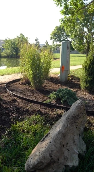 A new bed by the pond, edged and planted with grasses and juniper around a utility pedestal, with a boulder set in the foreground.