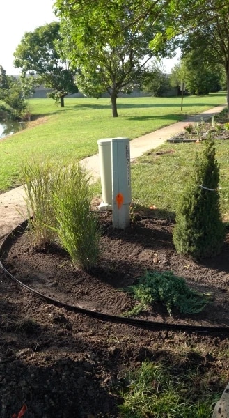 A new bed cut around a utility pedestal beside a concrete path, planted with ornamental grasses and young conifers in fresh soil, with a pond and mown grass beyond.