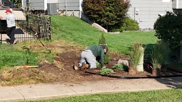 A crew member kneeling to set black edging around a new front bed, with shrubs and ornamental grasses staged in their pots waiting to go into the ground.