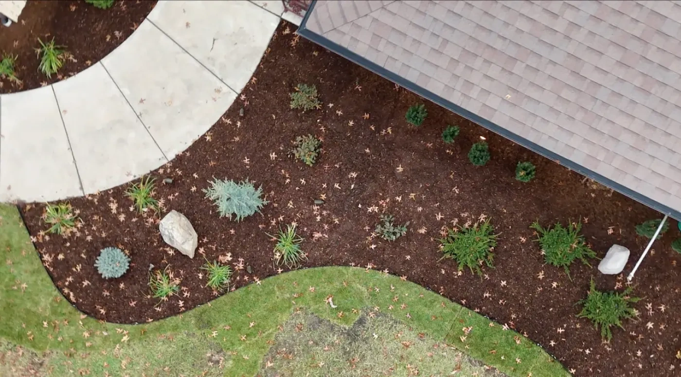 Looking straight down on the finished Anderson Residence front bed: a curved concrete walk, fresh dark mulch, new shrubs and grasses, and a boulder set into the planting.