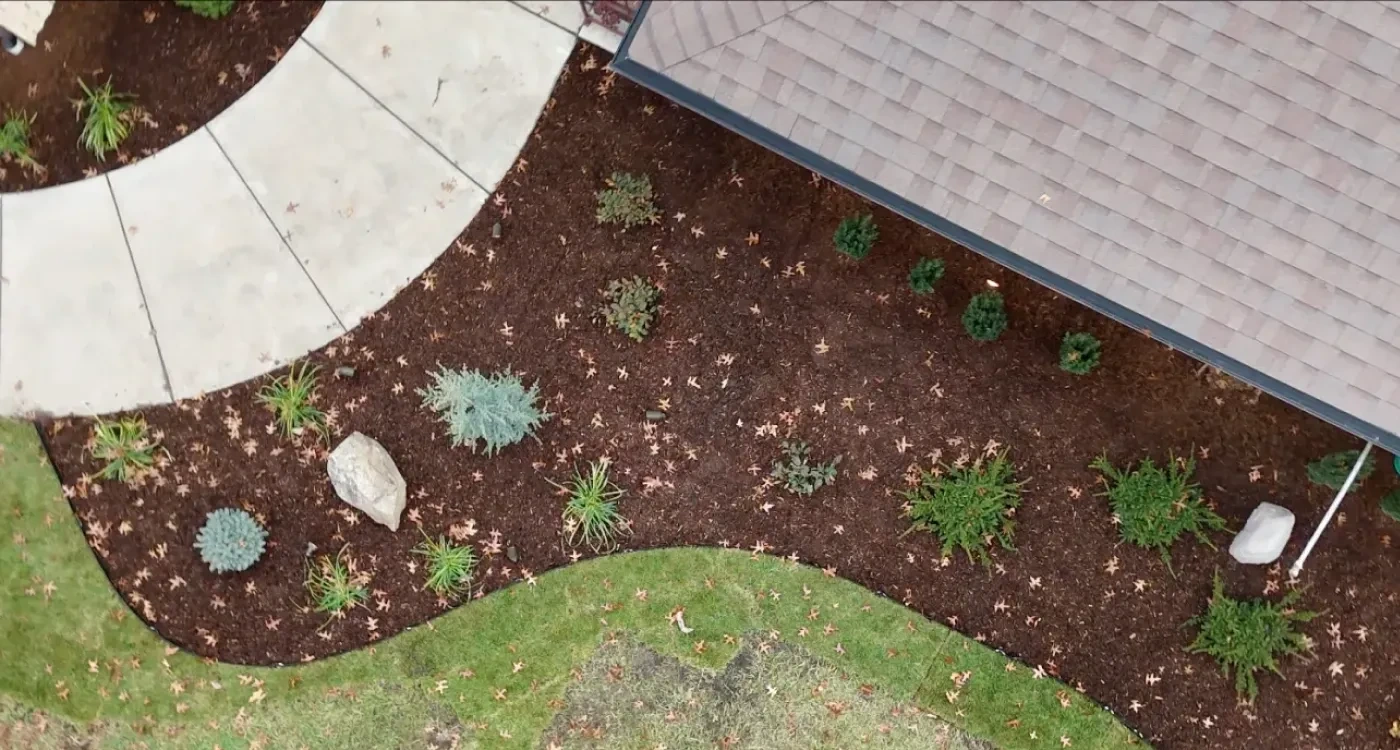 Looking straight down on the finished Anderson Residence bed: fresh dark mulch, layered conifers and grasses, a pale boulder, and the curved concrete walk beside it.