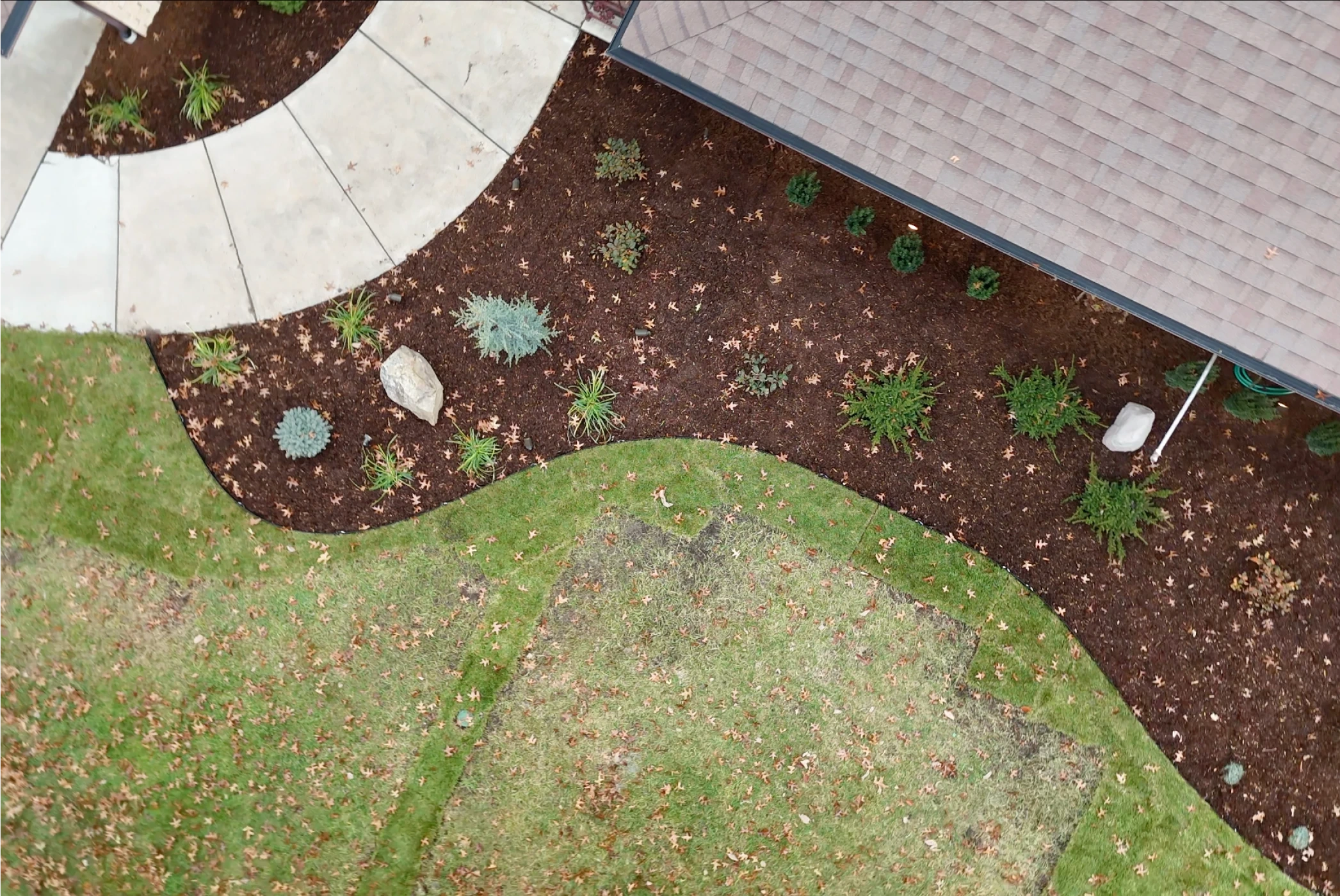 Overhead view of the renovated Anderson Residence front bed: a curved aluminium edge, natural cedar mulch, layered plantings and a natural moss boulder.