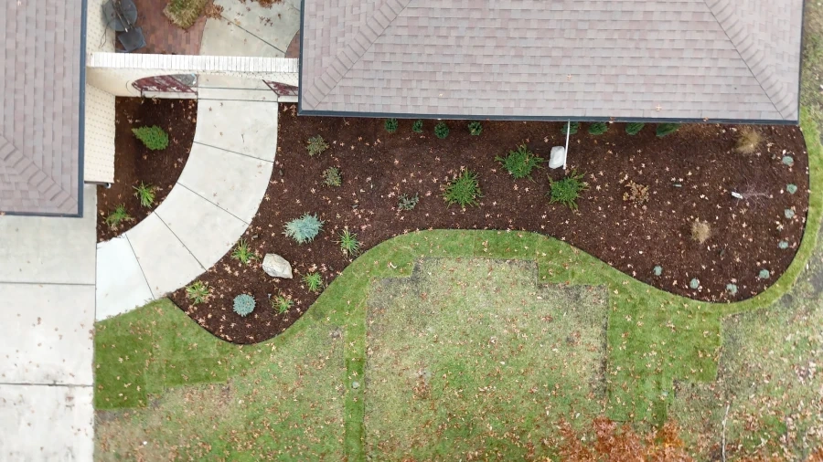The front bed from above before planting: bare soil cut to its new curve, the drain trench and buried downspout runs still open.