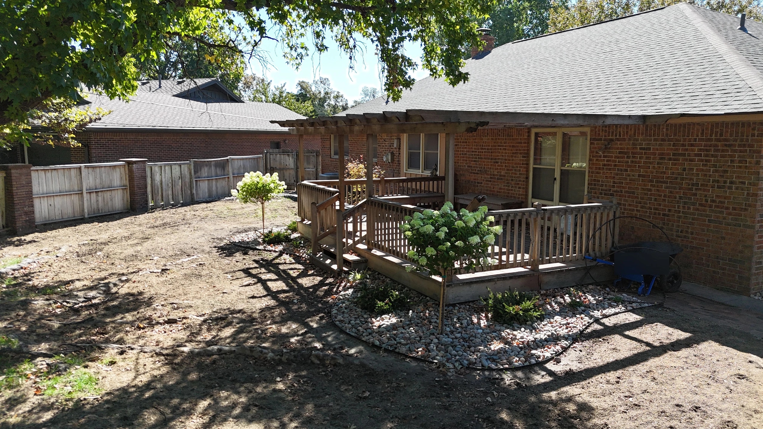 The same deck after the work: a curving river rock bed wrapped around its foot, a tree-form hydrangea in bloom and low evergreens, the yard cleared around it.