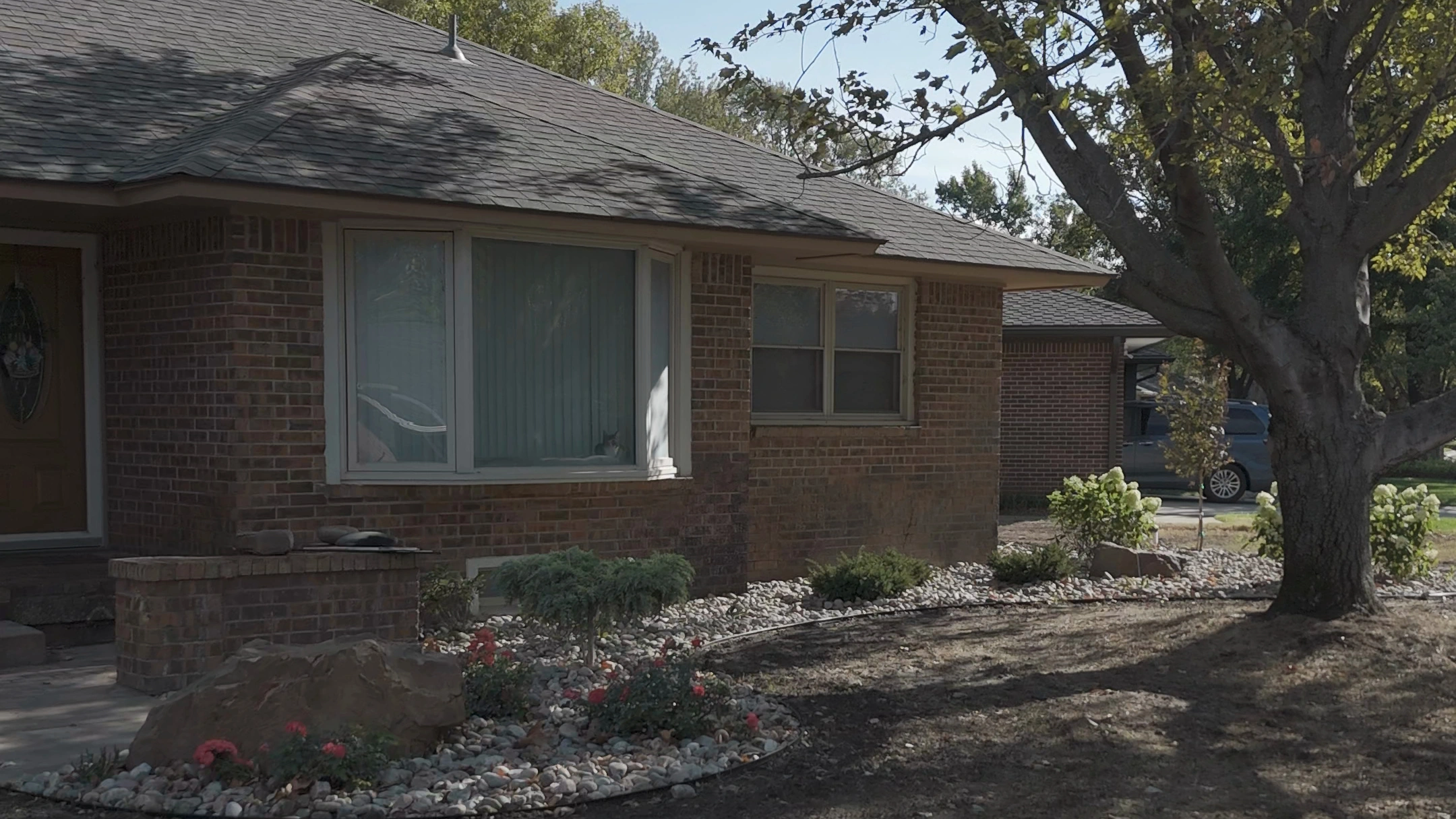 The front of the Brown residence: a river rock bed along the house with a boulder by the porch, red shrub roses and low evergreens, under the mature shade tree.