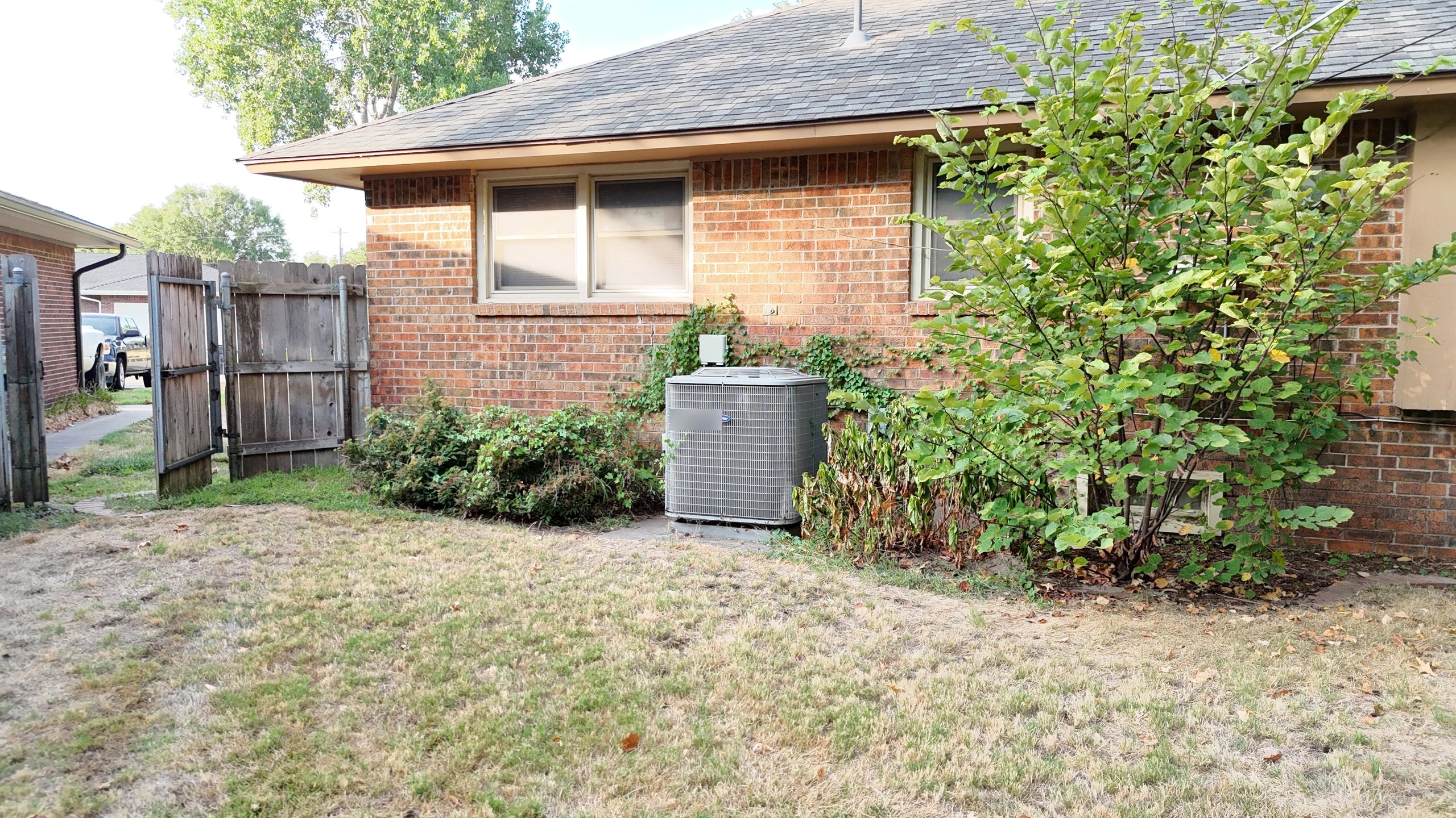 The air conditioner side of the Brown residence before the work: overgrown shrubs and ivy crowding the unit and the wall, over a dry lawn.