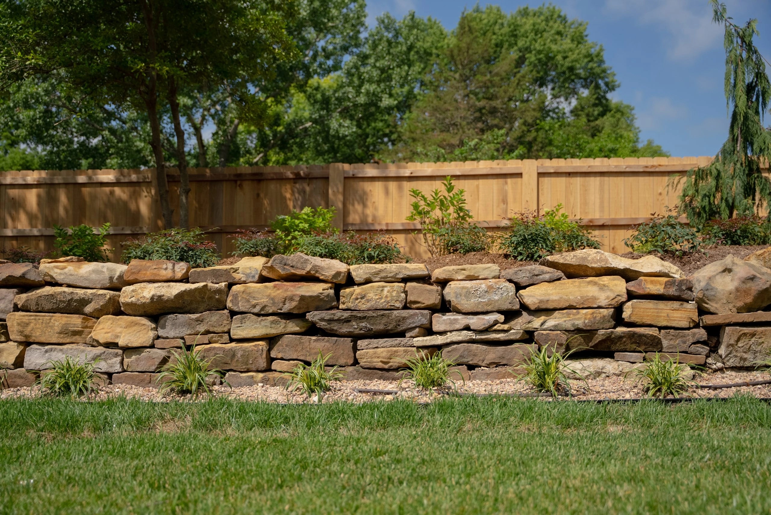 A dry-stacked natural stone retaining wall holding a planted, mulched bank above a level lawn, with a cedar privacy fence behind it.