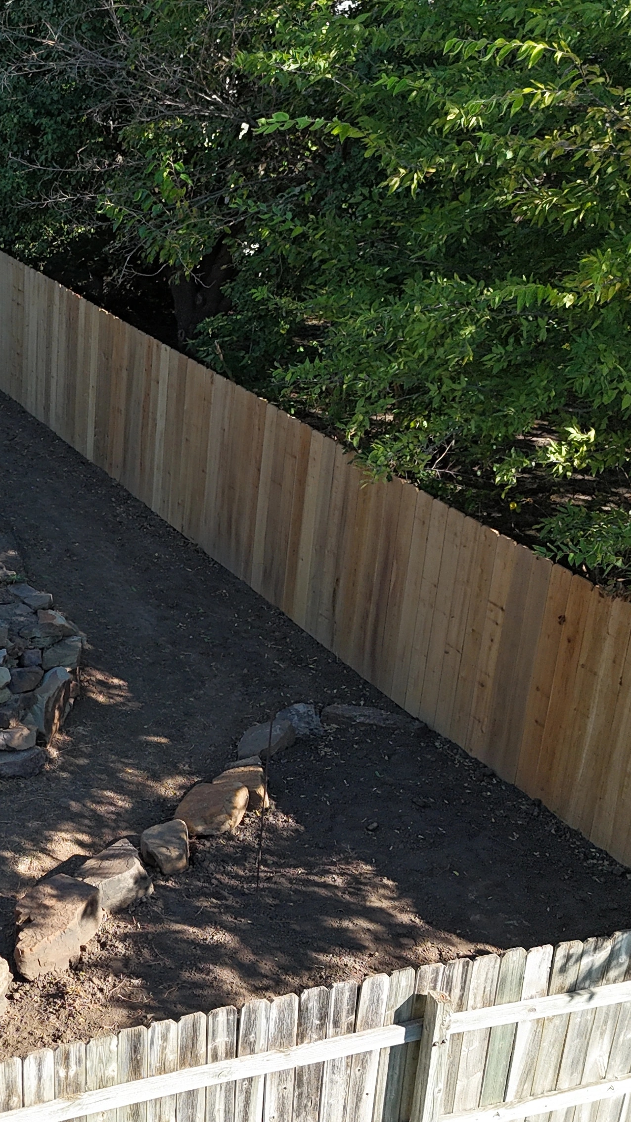 The new board fence running the length of the cleared side of the yard, with bare ground and a few set stones along its foot.